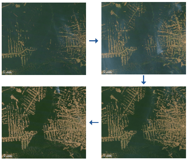 Évolution de la déforestation, forêt amazonienne, Brésil, 2000 - 2012 - NASA